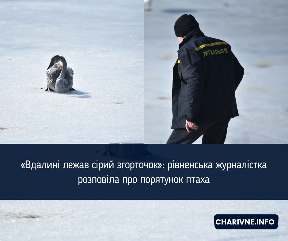 Фото ілюстративне